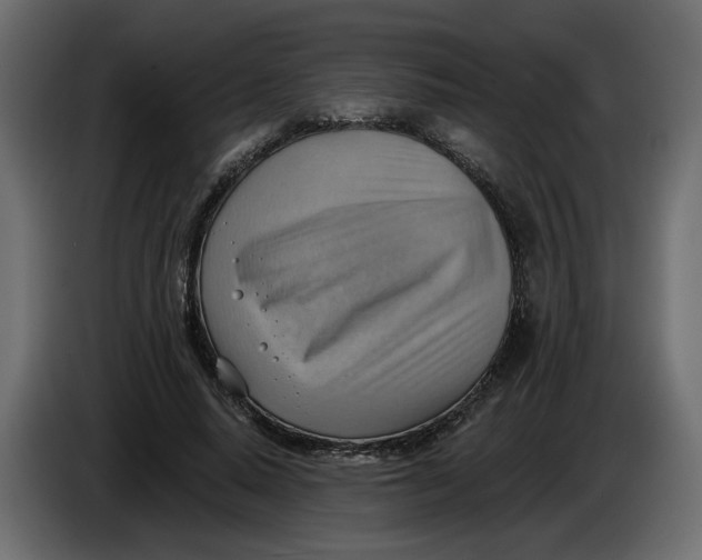 X0000086000640200704131806