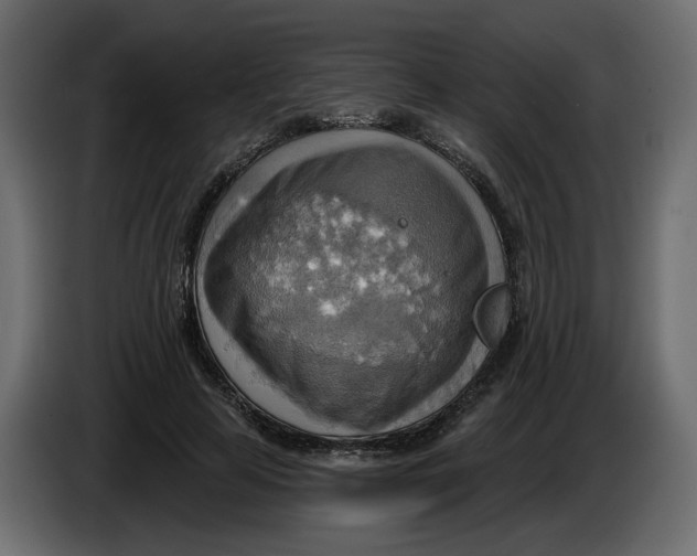 X0000086000641200704131806