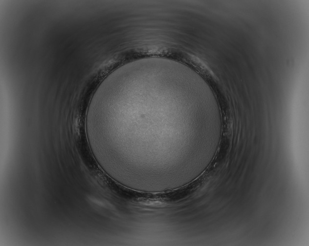 X0000086000643200704131806