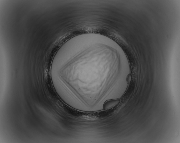 X0000086000644200704131806