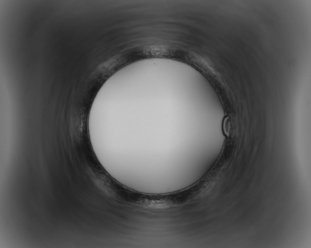 X0000086000645200704131806