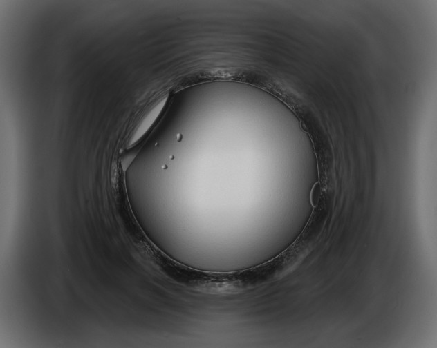 X0000086000646200704131806