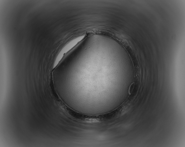 X0000086000649200704131806