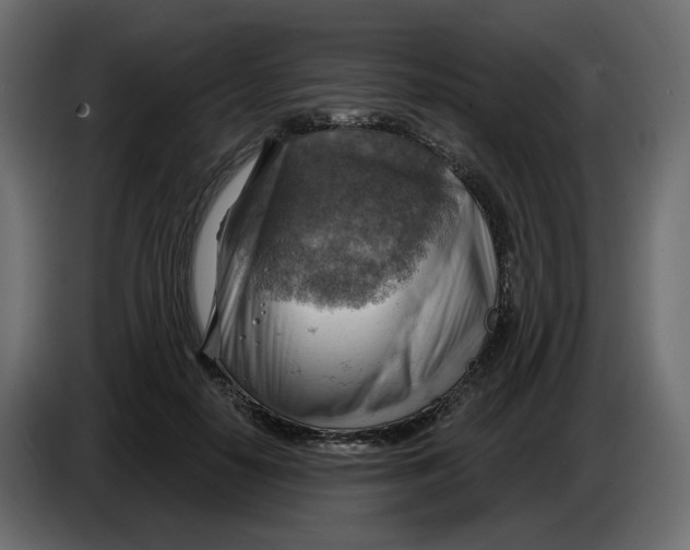 X0000086000650200704131806