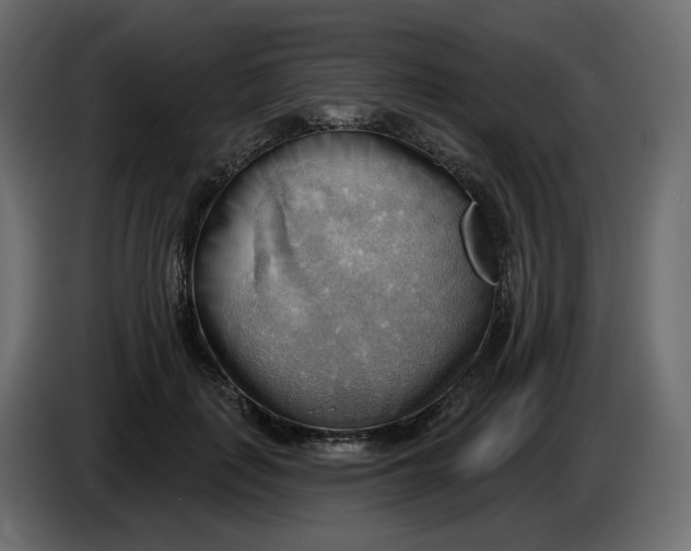 X0000086000651200704131806