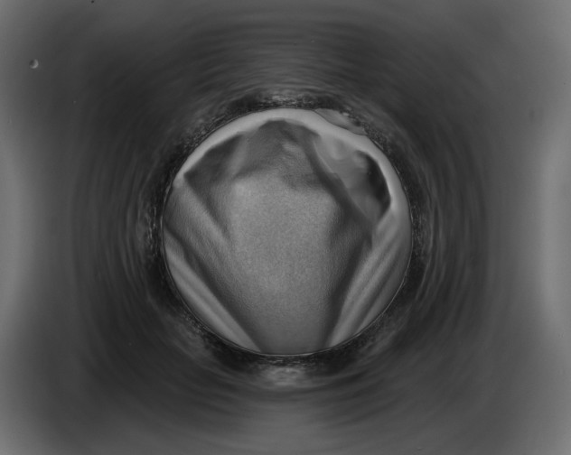 X0000086000653200704131806