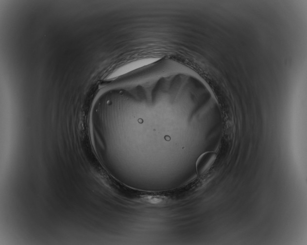 X0000086000654200704131806