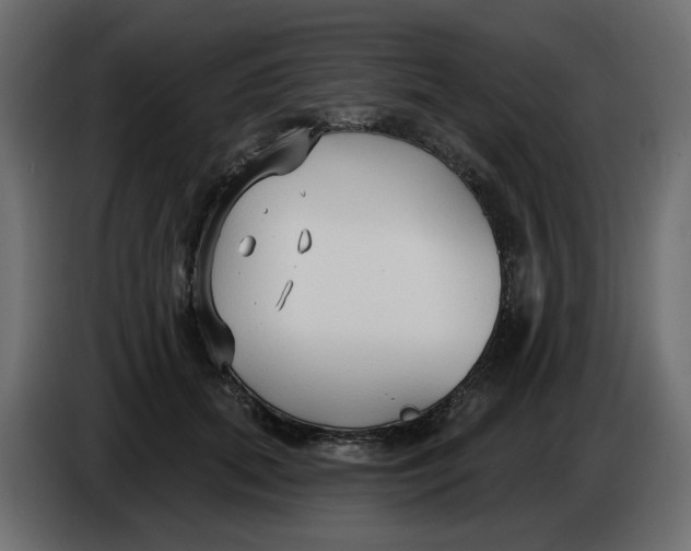 X0000086000655200704131806