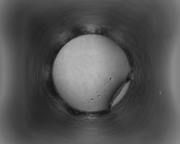 X0000086000656200704131806