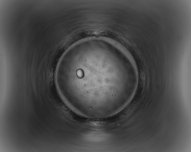 X0000086000657200704131806