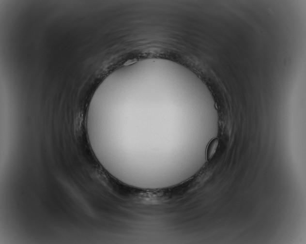 X0000086000660200704131806