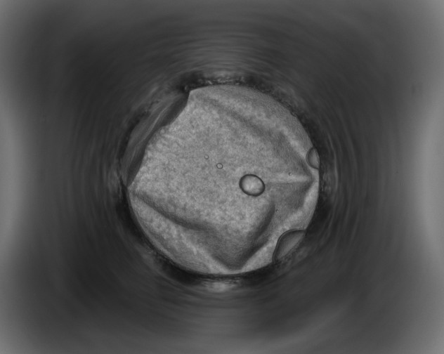 X0000086000662200704131806