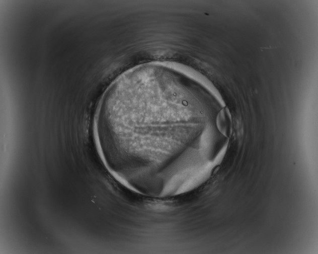 X0000086000664200704131806