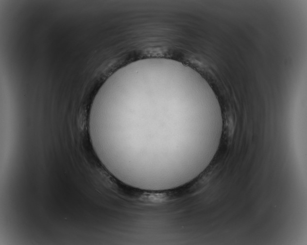 X0000086000665200704131806