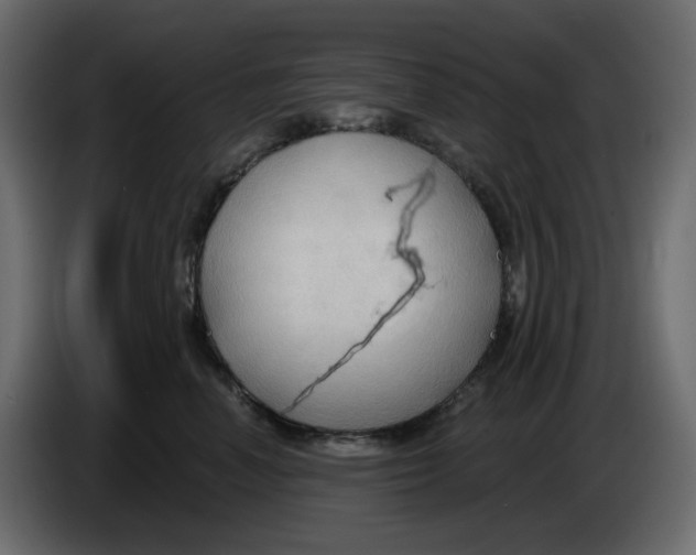 X0000086000666200704131806