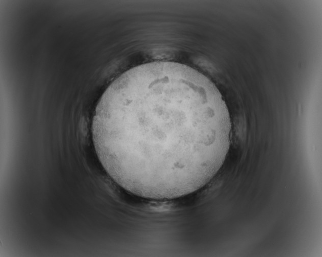 X0000086000667200704131806