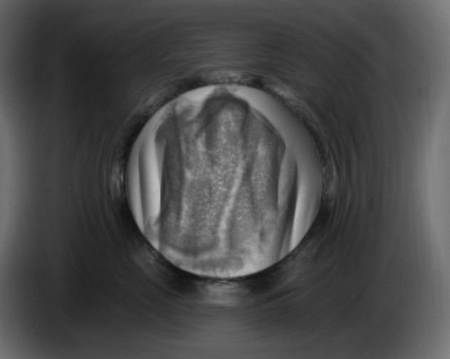 X0000086000669200704131806