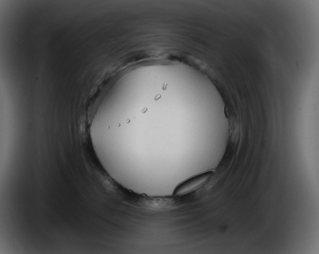 X0000086000670200704131806