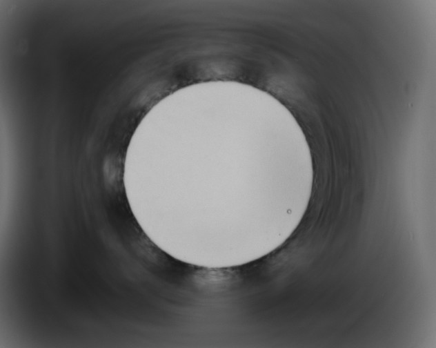 X0000086000672200704131806