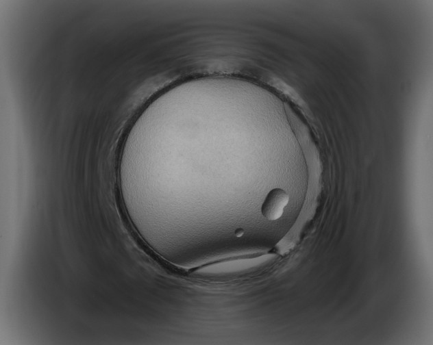 X0000086000673200704131806