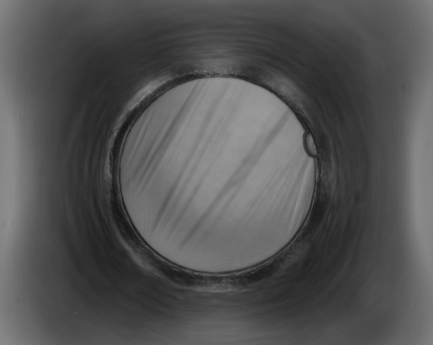 X0000086000674200704131806