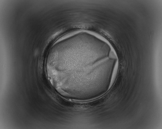 X0000086000679200704131806