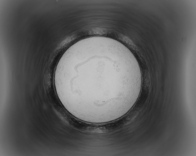 X0000086000683200704131806