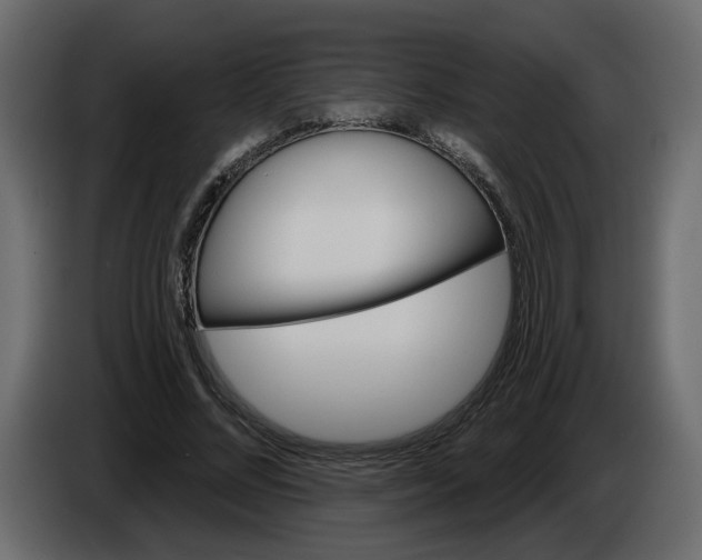 X0000086000684200704131806