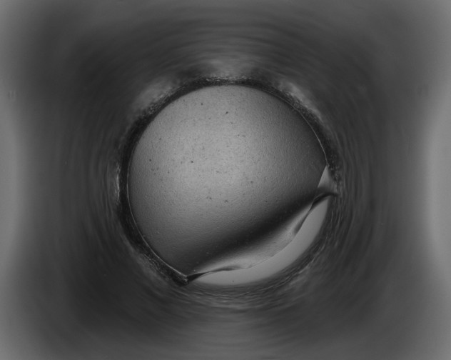 X0000086000685200704131806