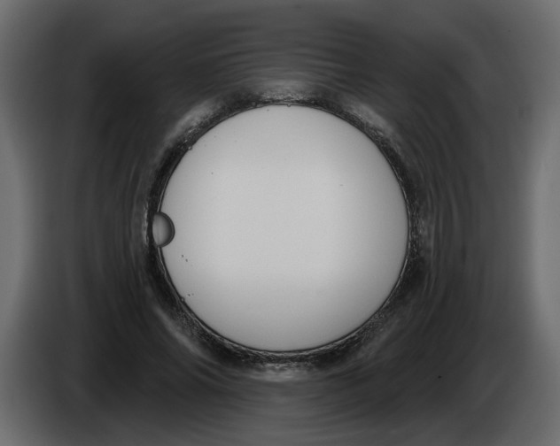 X0000086000686200704131806