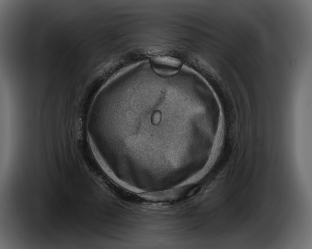 X0000086000689200704131806