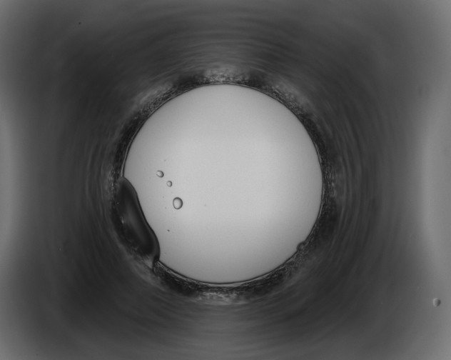 X0000086000690200704131806