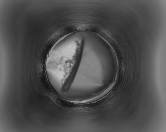 X0000086000691200704131805