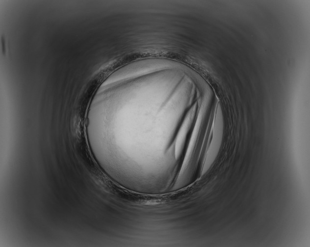 X0000086000692200704131805