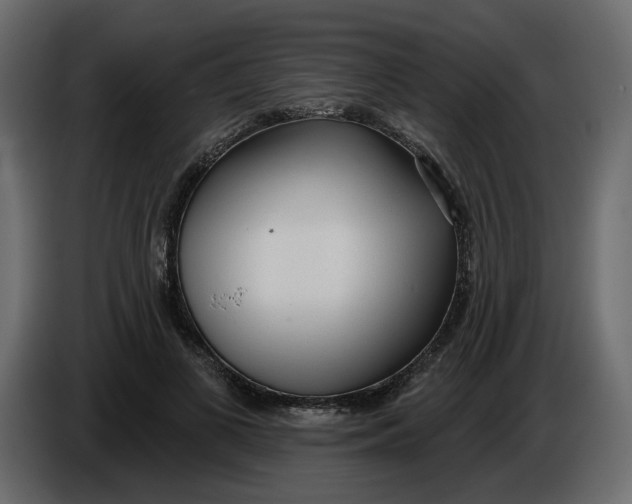 X0000086000693200704131805