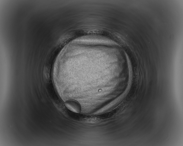 X0000086000695200704131805