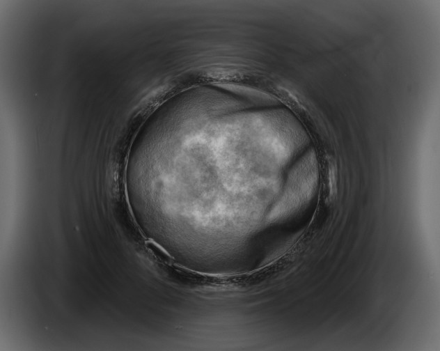 X0000086000696200704131805