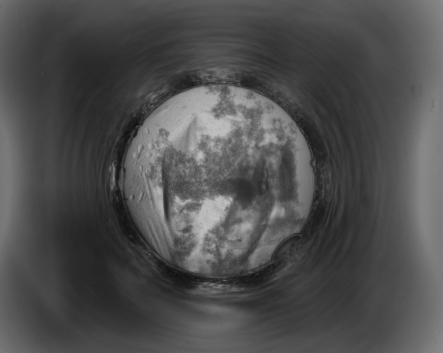 X0000086000699200704131805