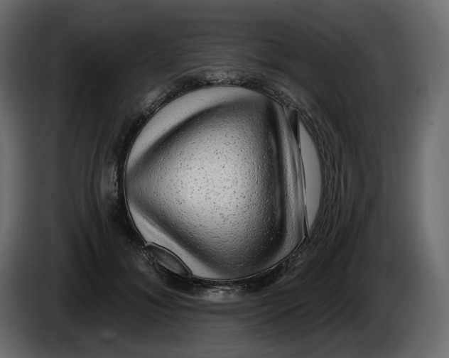 X0000086000700200704131805