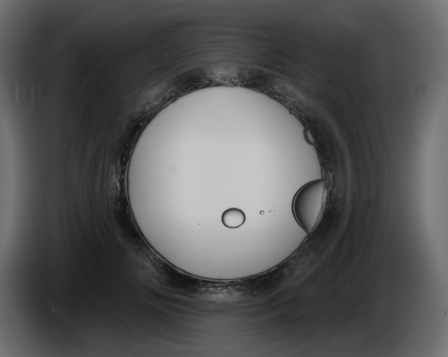 X0000086000702200704131805