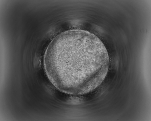 X0000086000703200704131805