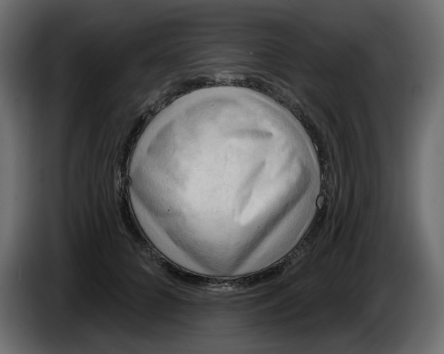 X0000086000704200704131805