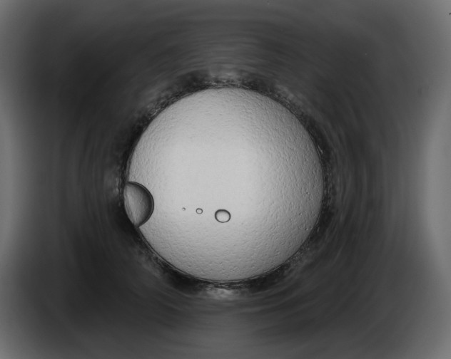 X0000086000706200704131805