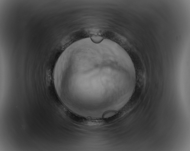 X0000086000707200704131805