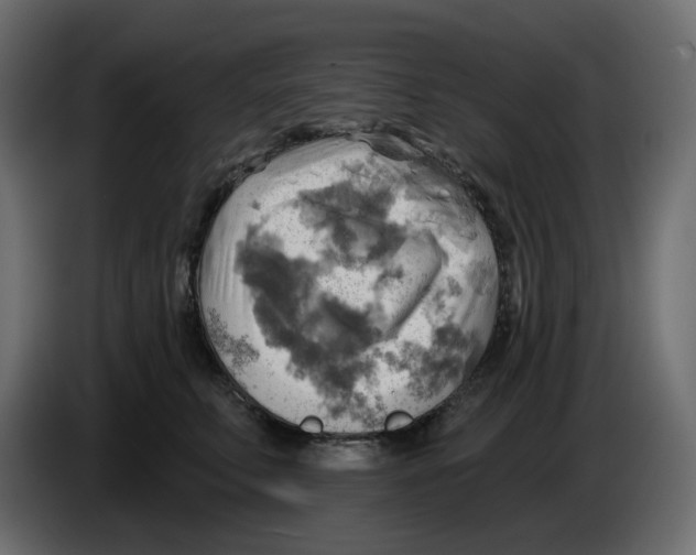 X0000086000711200704131805