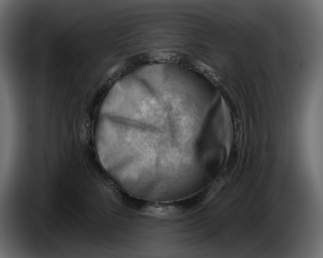 X0000086000712200704131805