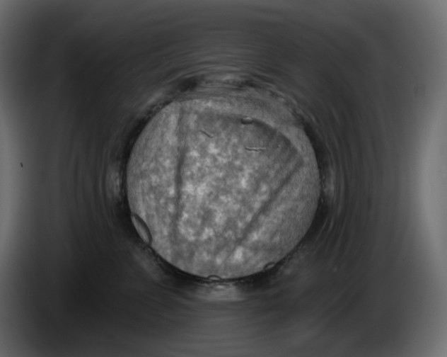 X0000086000715200704131805