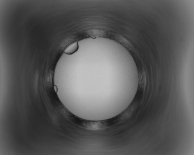 X0000086000717200704131805