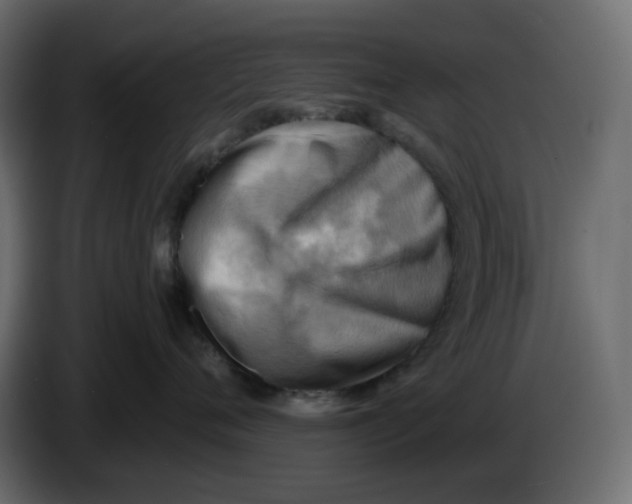 X0000086000720200704131805