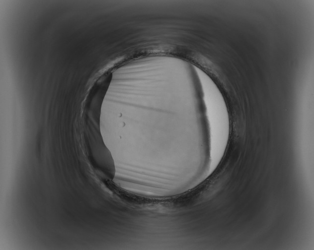 X0000086000721200704131804